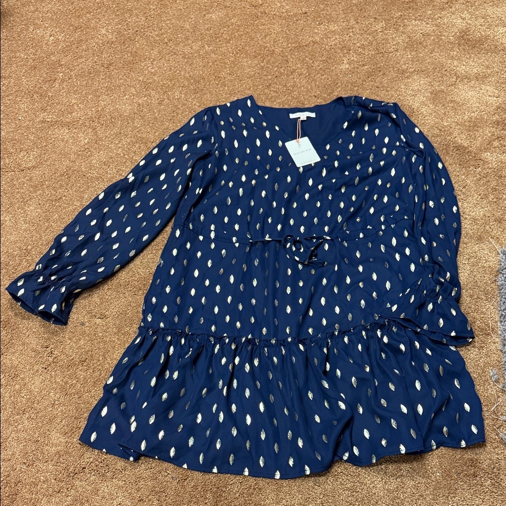 Skies Are Blue Navy Dress with Metallic Dot Accents